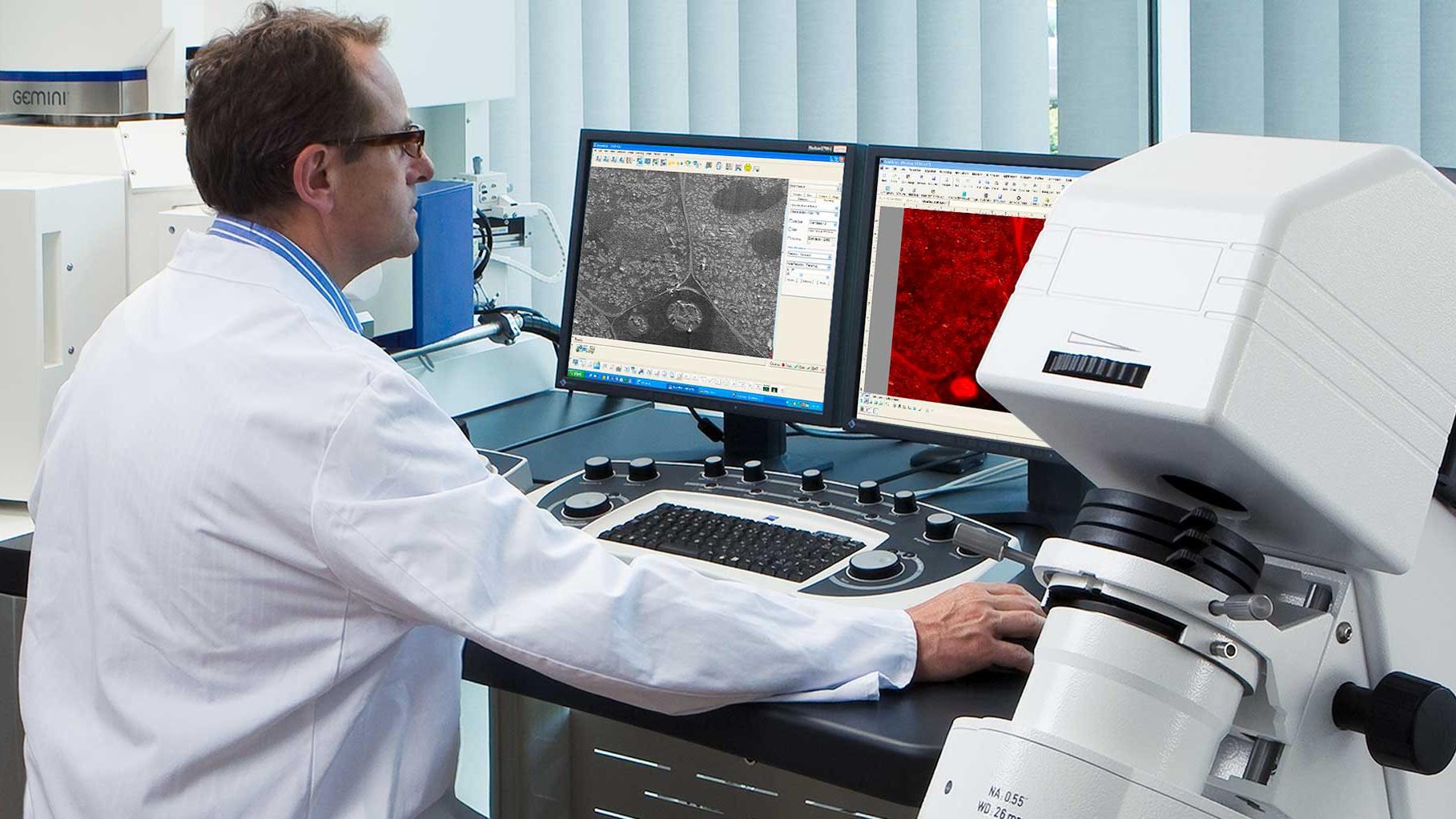 Scanning Electron Microscopy