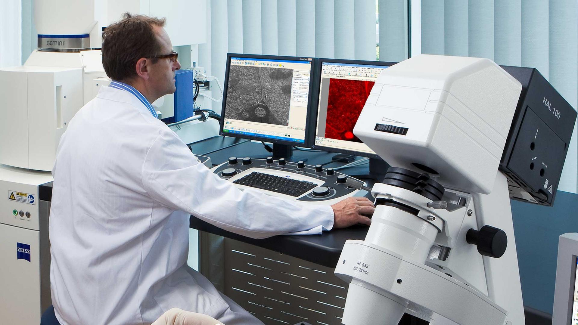 Scanning Electron Microscopy