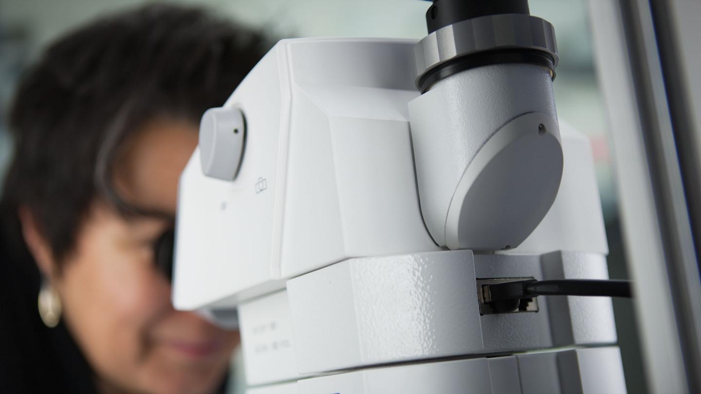 Downloads Manuals for Your ZEISS Microscopy Imaging System