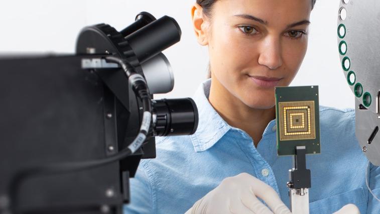 Scanning Electron Microscopy
