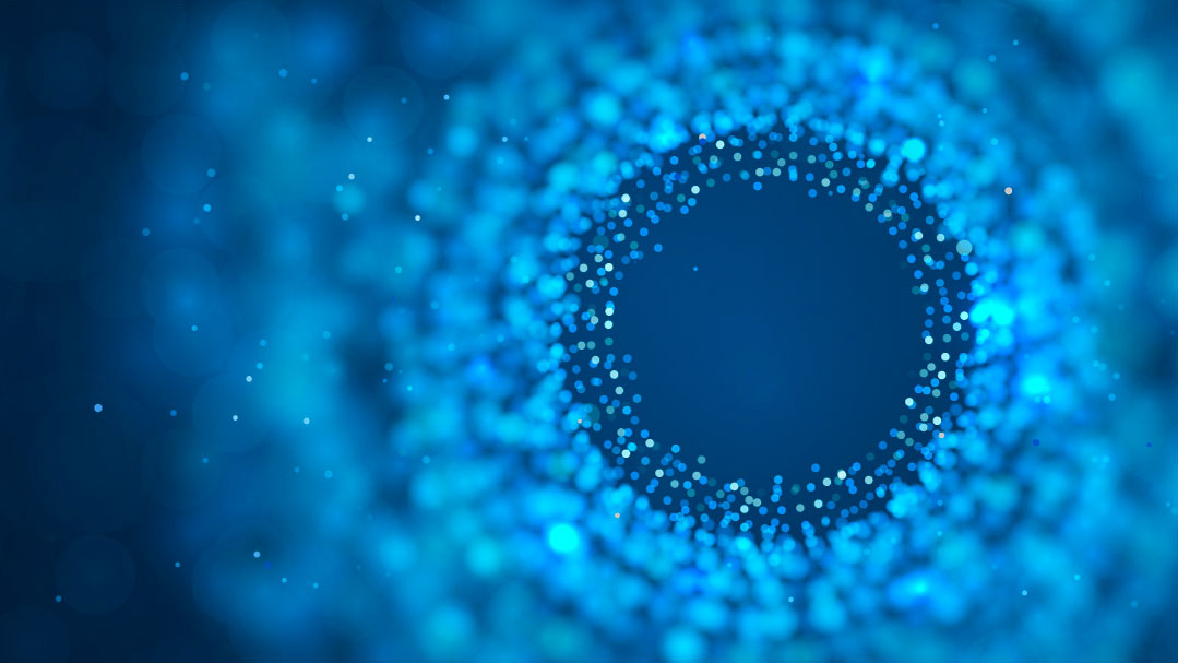 Microscopy Insights Hub ZEISS