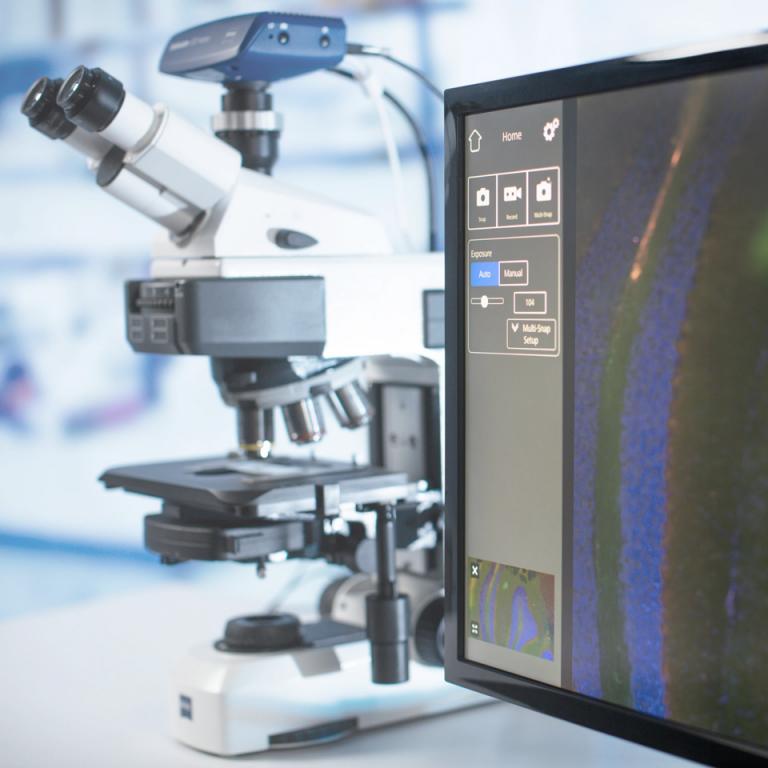 ZEISS Upgrades for Stereo Microscopy