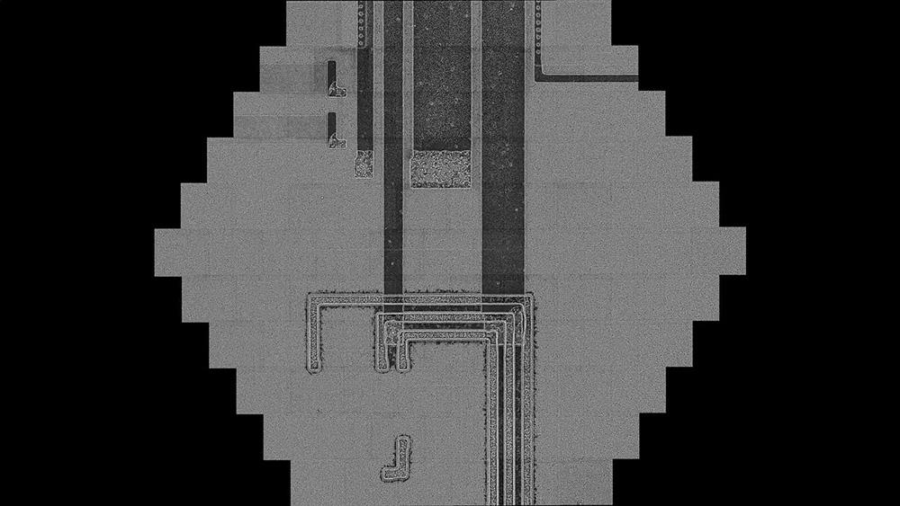 View of 20 nm gold/palladium particles