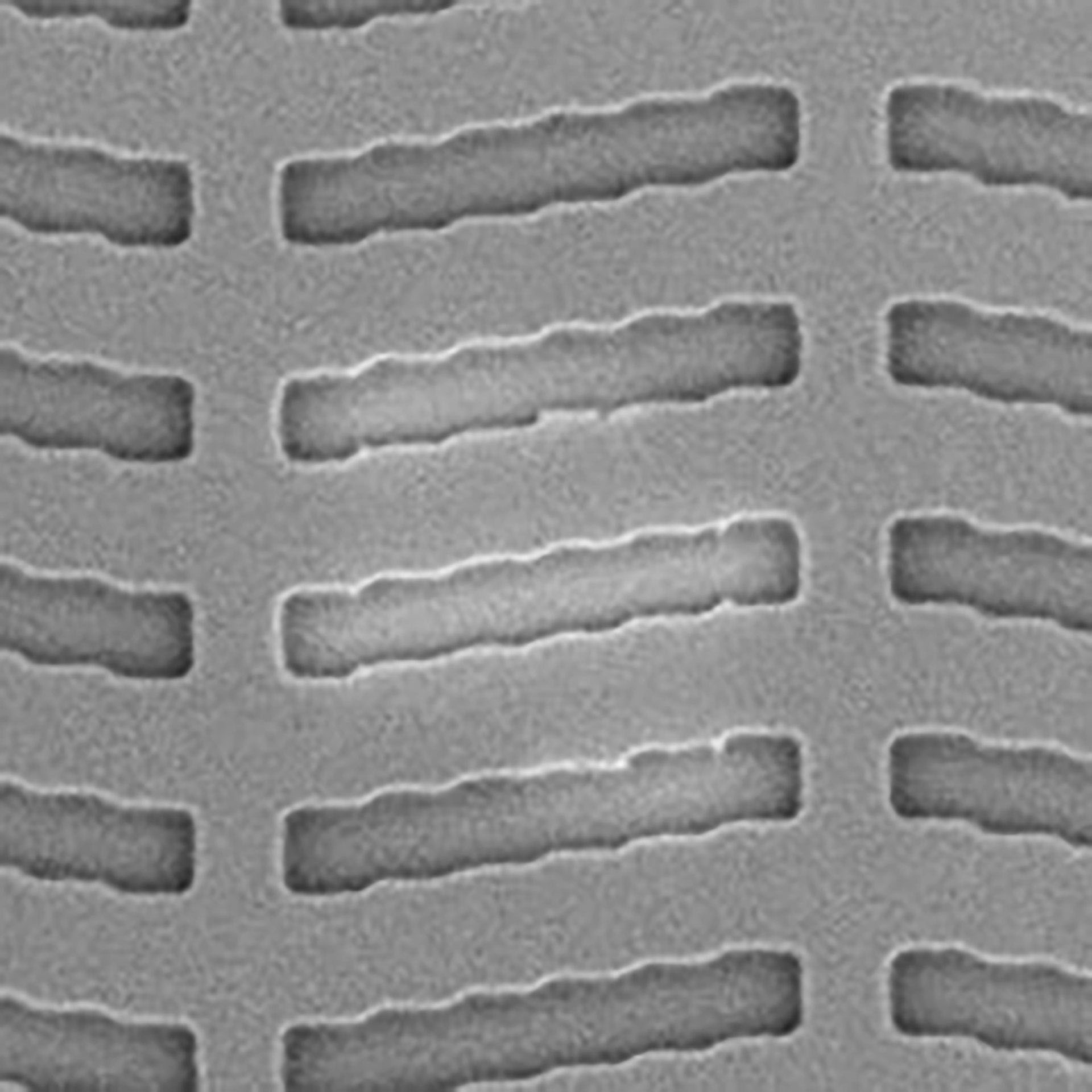 A photomask with structures and defects