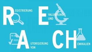 The Logo of the e-learning REACh