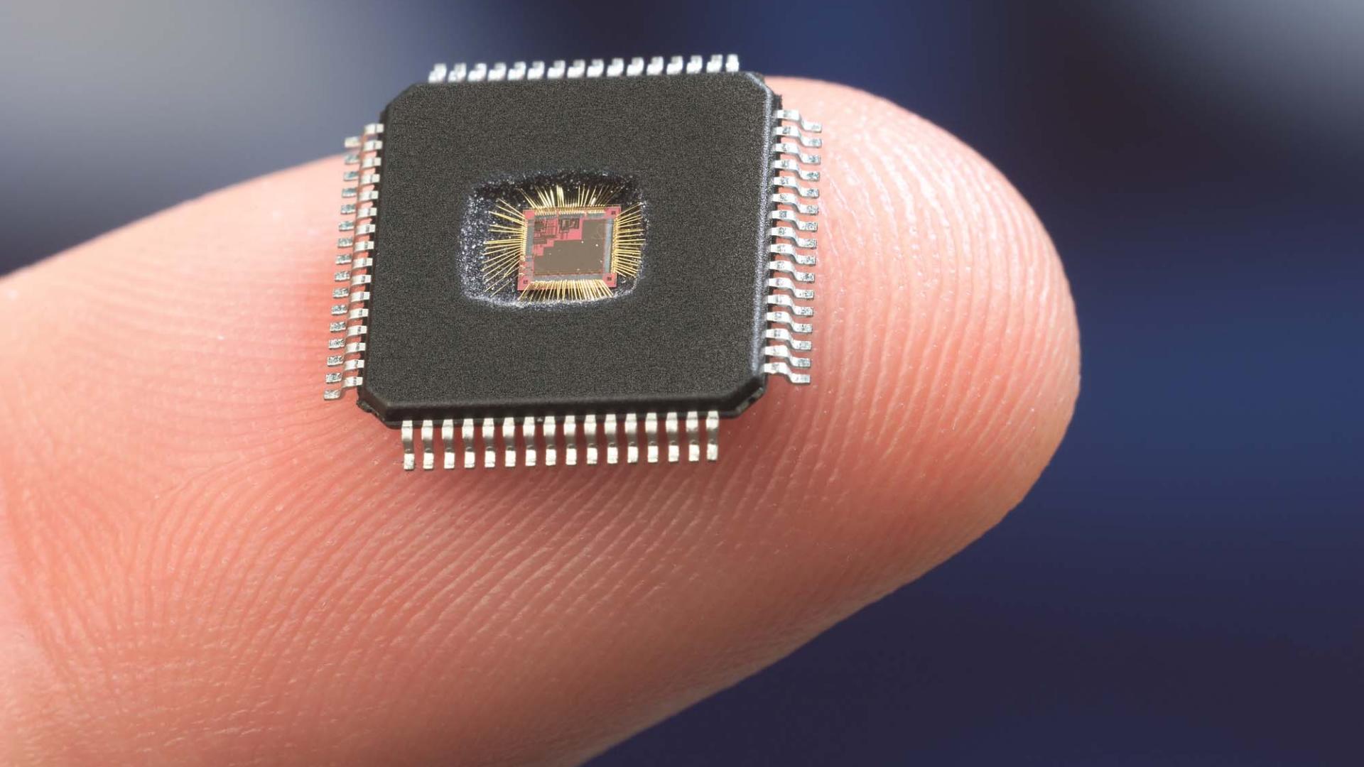 Fingertip holds microchip 