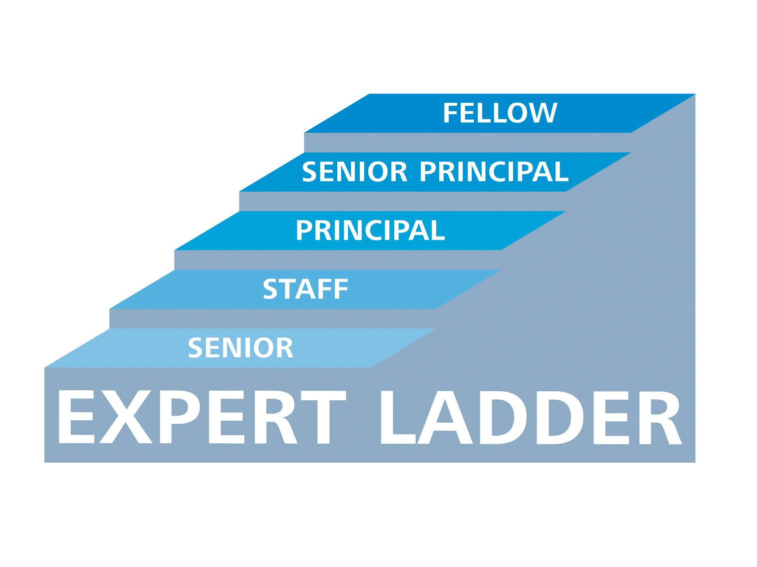 Graphical presentation of the individual stages of the specialist career from Senior to Fellow