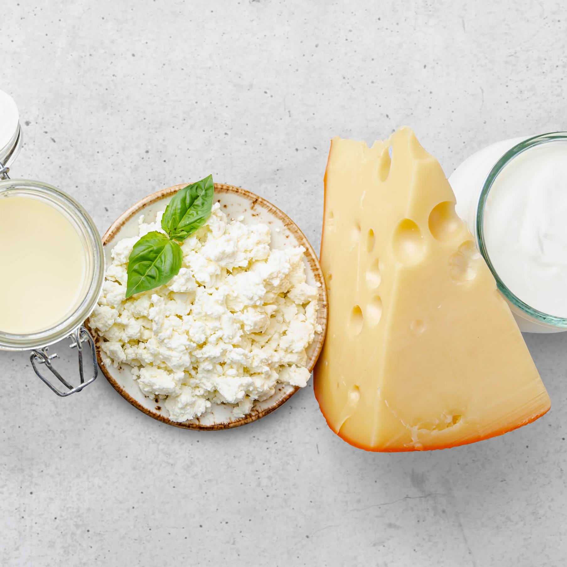 Dairy products on the table, milk, cheese, cream cheese, joghurt