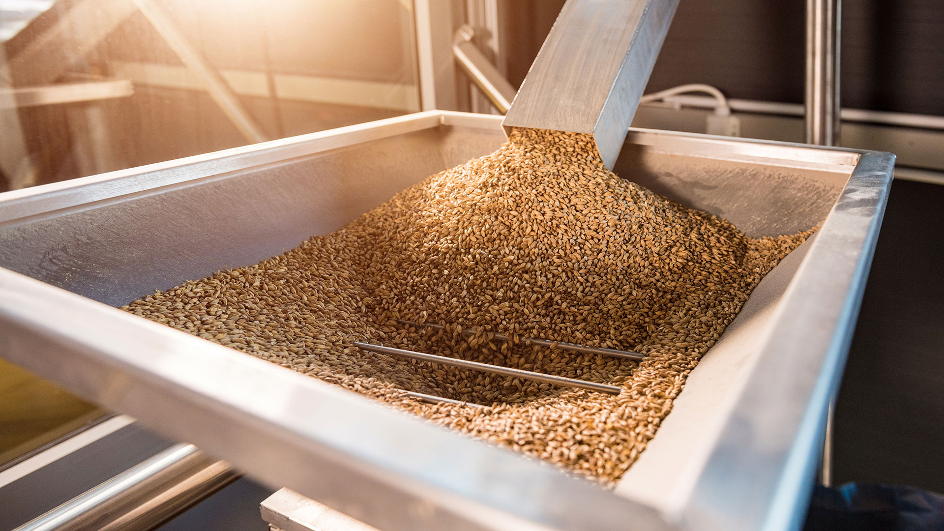 malt falls from a pipe into the machine