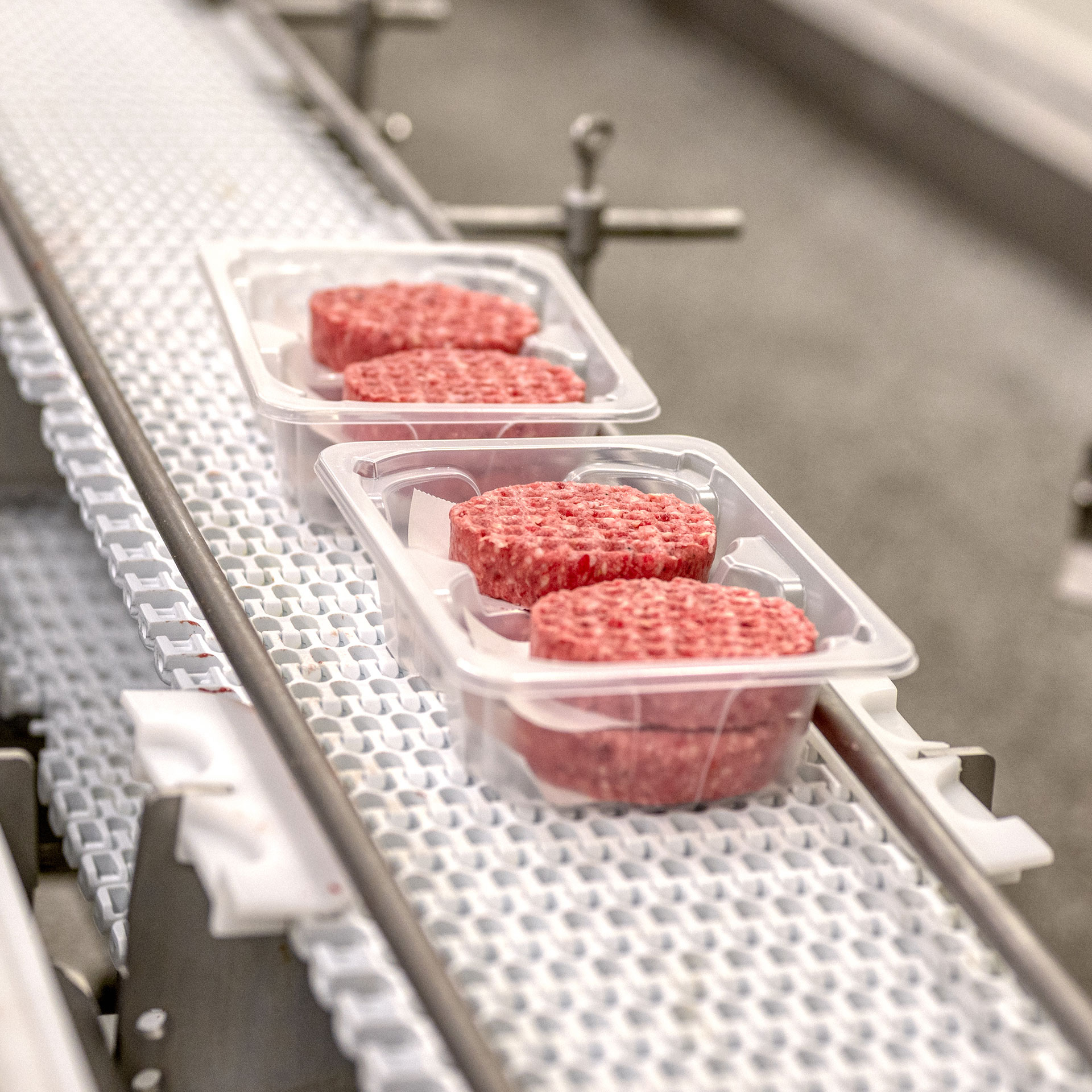 Ground beef on a conveyor belt, processed meat