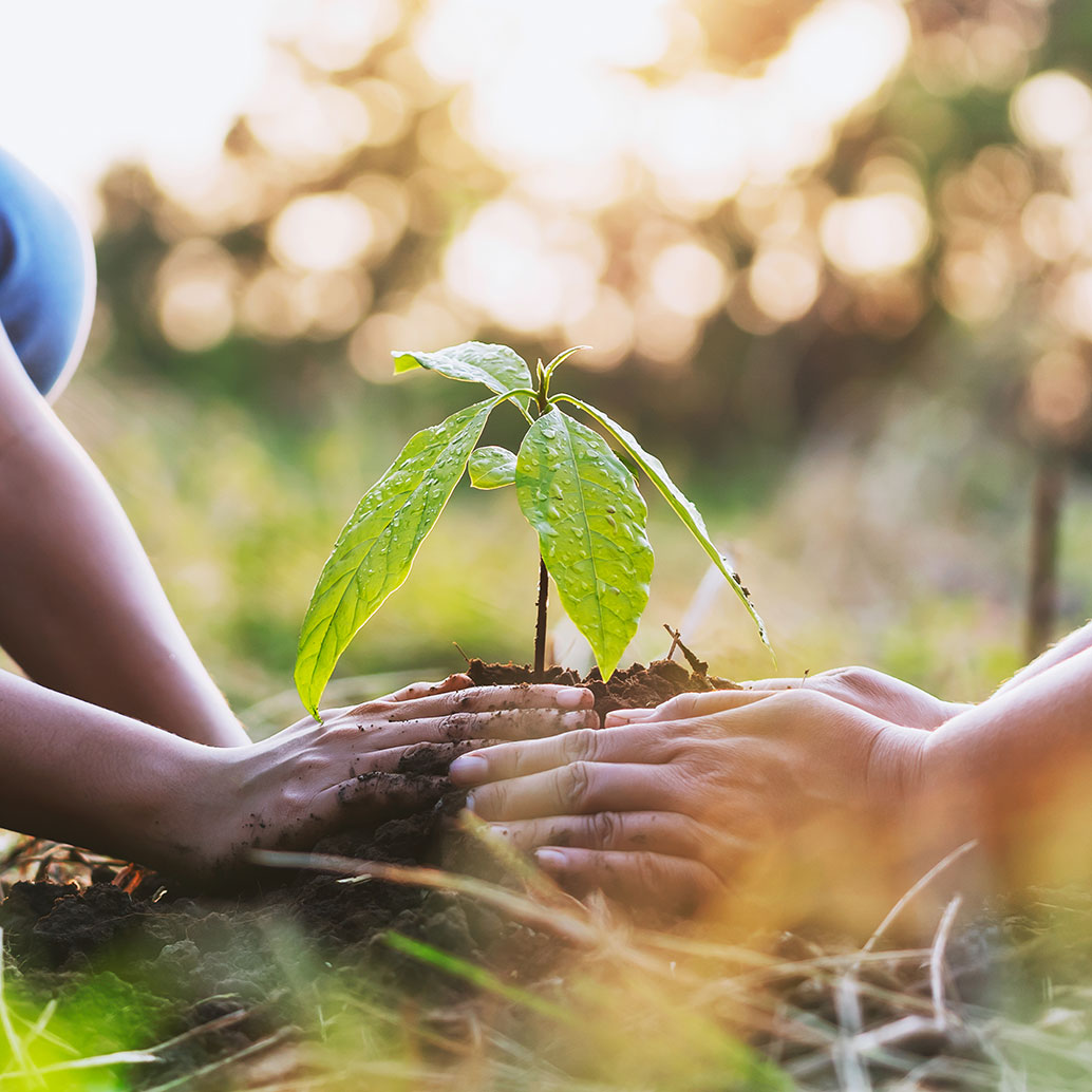 mother with children helping planting tree in nature for save earth. identifying fingerprints of soil. soil analysis