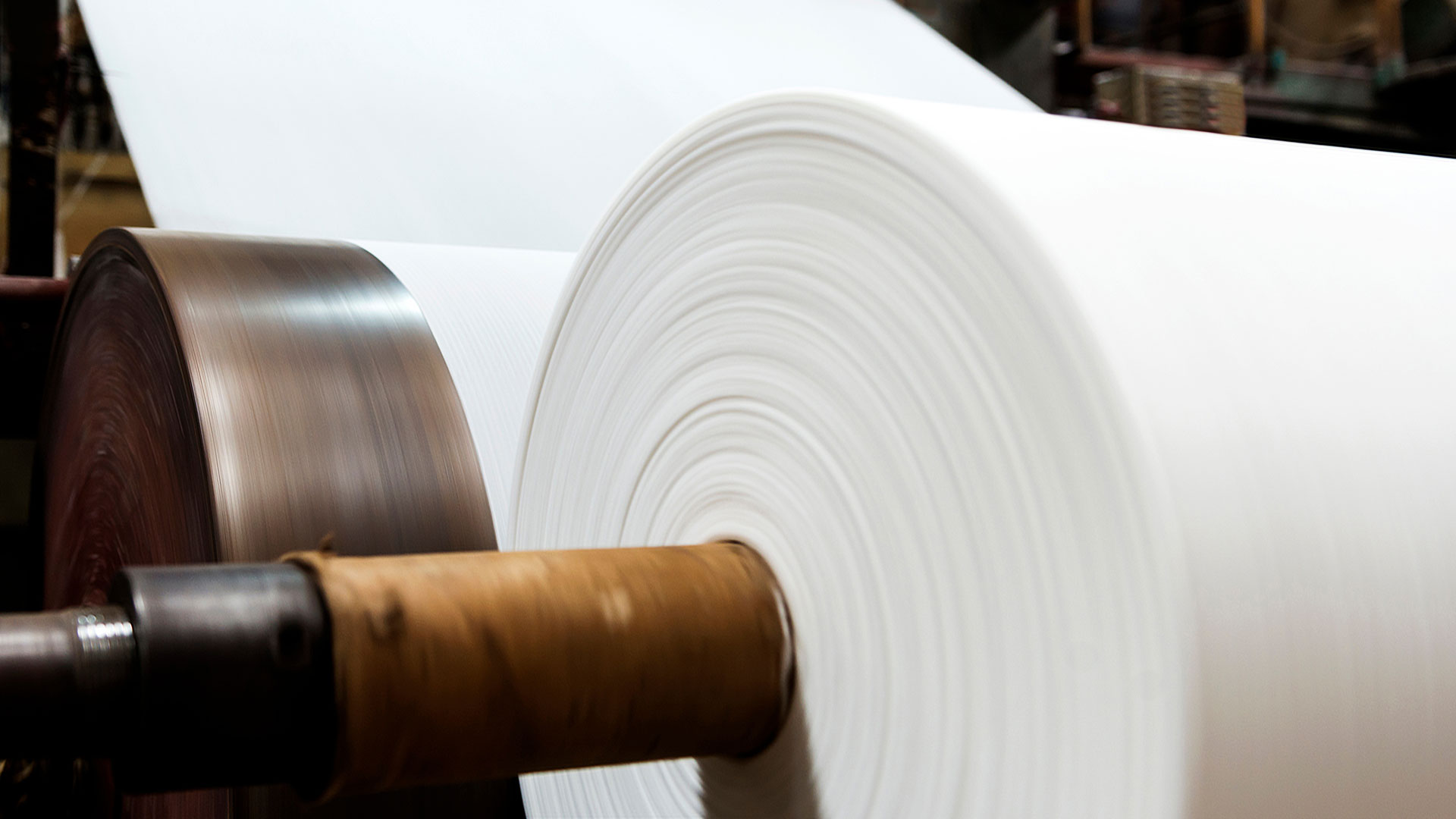 paper moves over rolls in a paper mill before coating