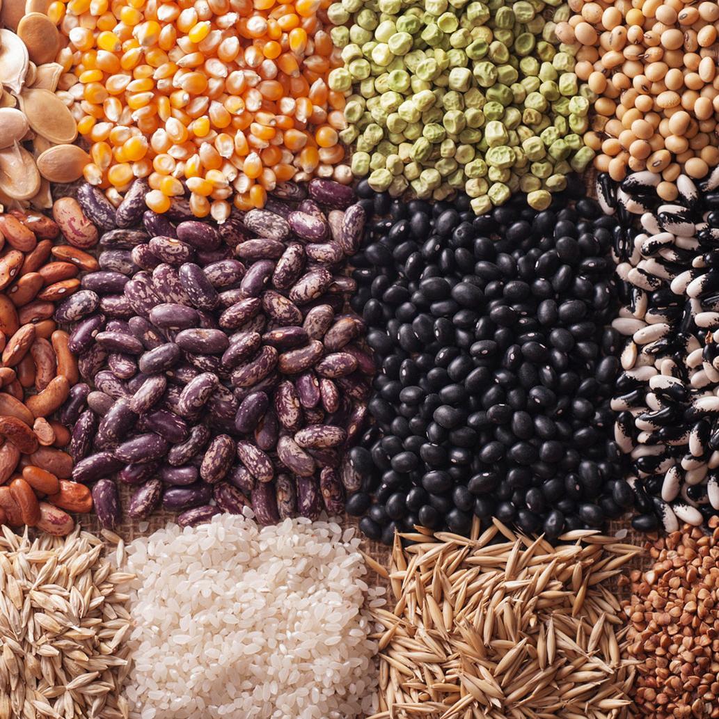 different cereals lie next to each other, wheat, corn, legumes, rice, beans