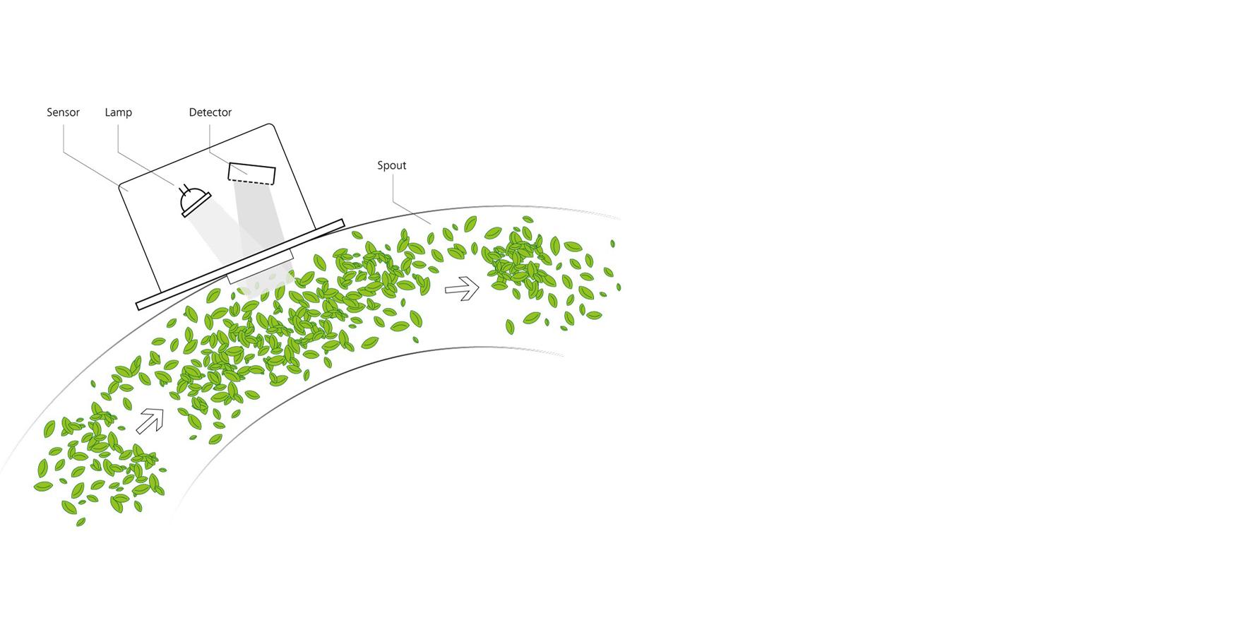 Sensor measures crops in a spout
