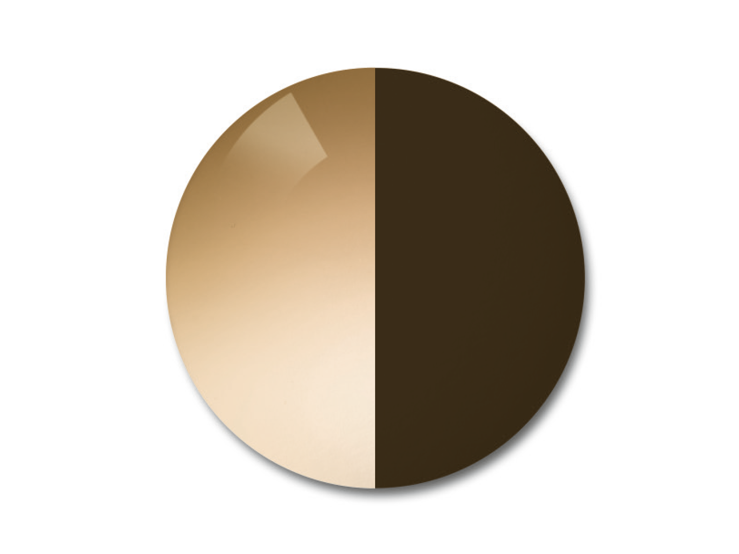 ZEISS AdaptiveSun Gradient Brown in light-tinted gradient and strong-tinted solid state.