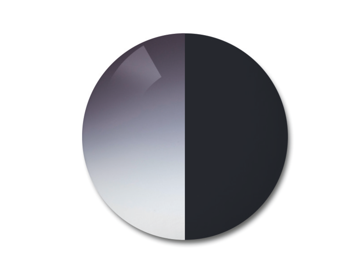 ZEISS AdaptiveSun Gradient Grey in light-tinted gradient and strong-tinted solid state.