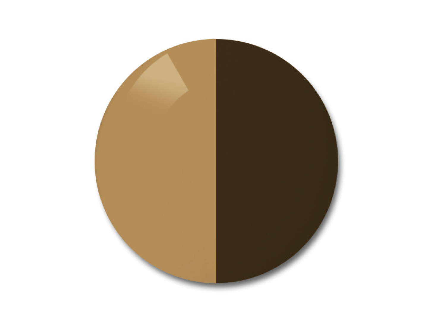 ZEISS AdaptiveSun Solid Brown in light-tinted and strong-tinted state.