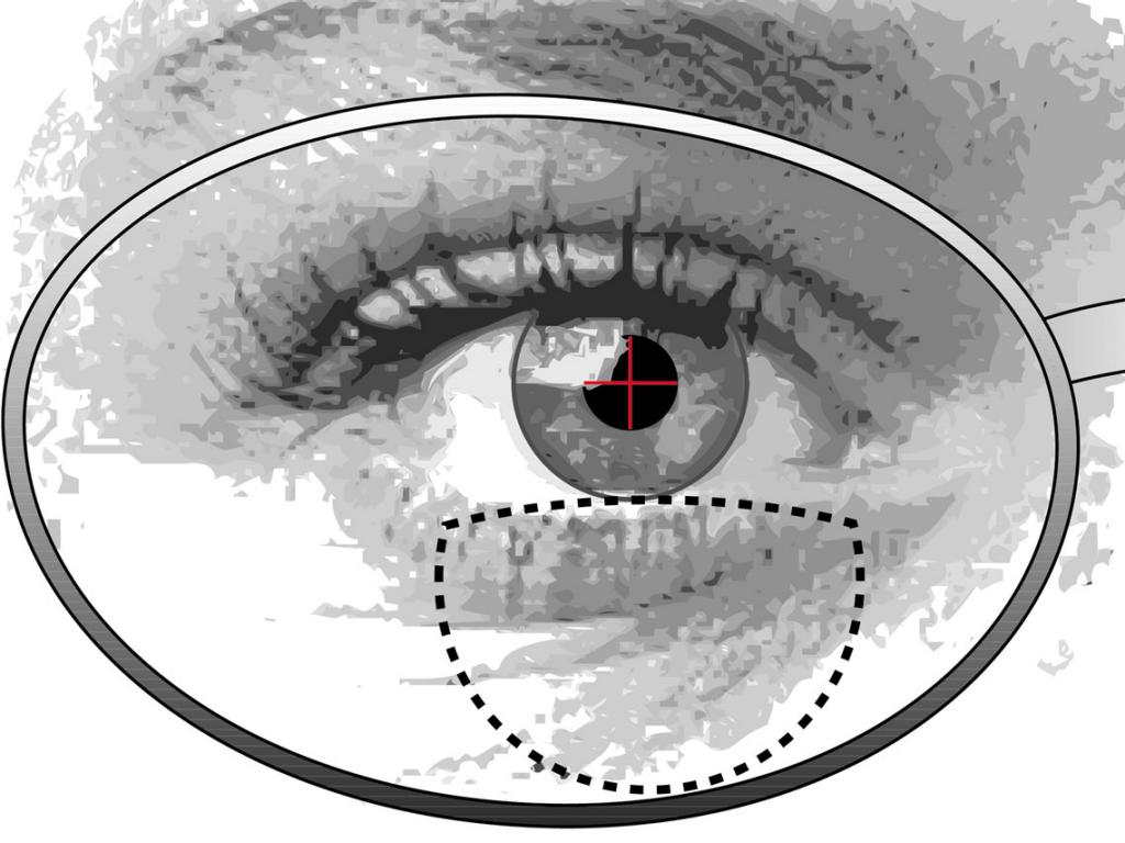 ZEISS Multifocal Lenses
