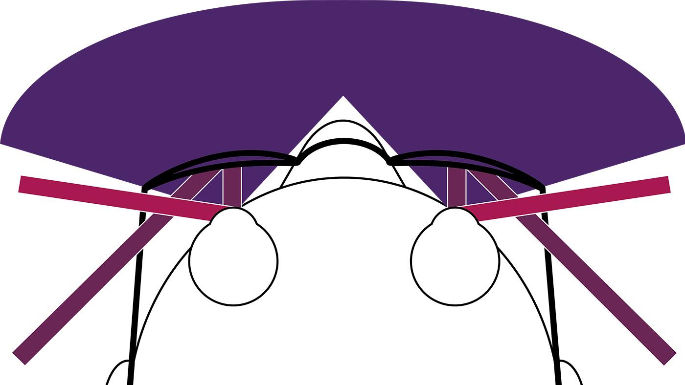 Diagram of the angles (2D projection of head from top) showing the direction of radiation as it travels toward the eye