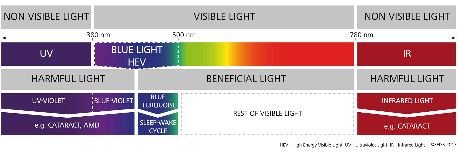 Your cones do the job – that's how colour vision works. 