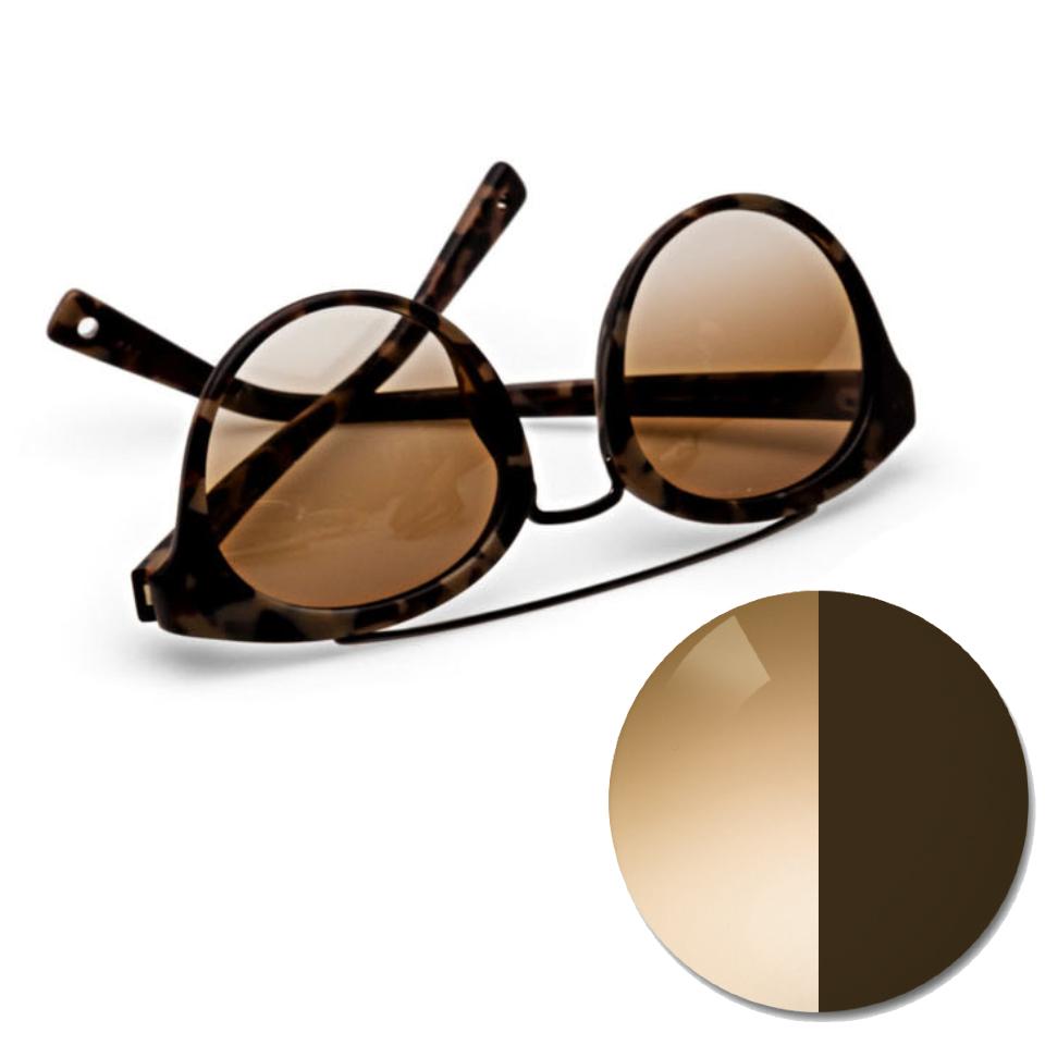 ZEISS Sunglass lenses Your perfect companion in the sun