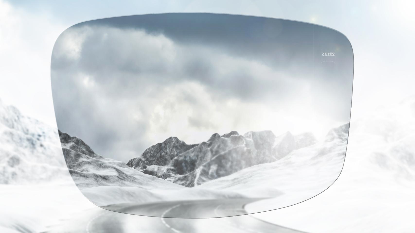 Zeiss hot sale z1 sunglasses