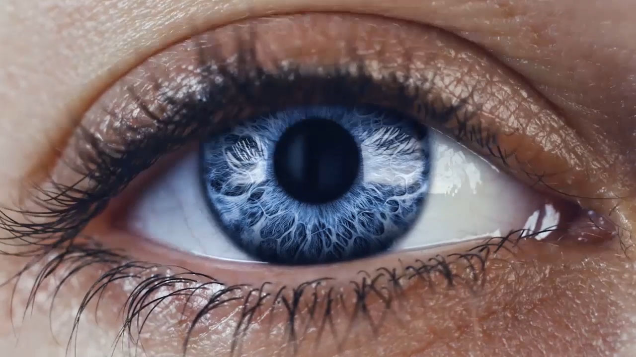 Lentillas zeiss best sale