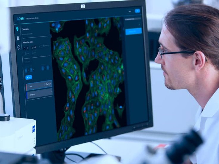 AI in image analysis