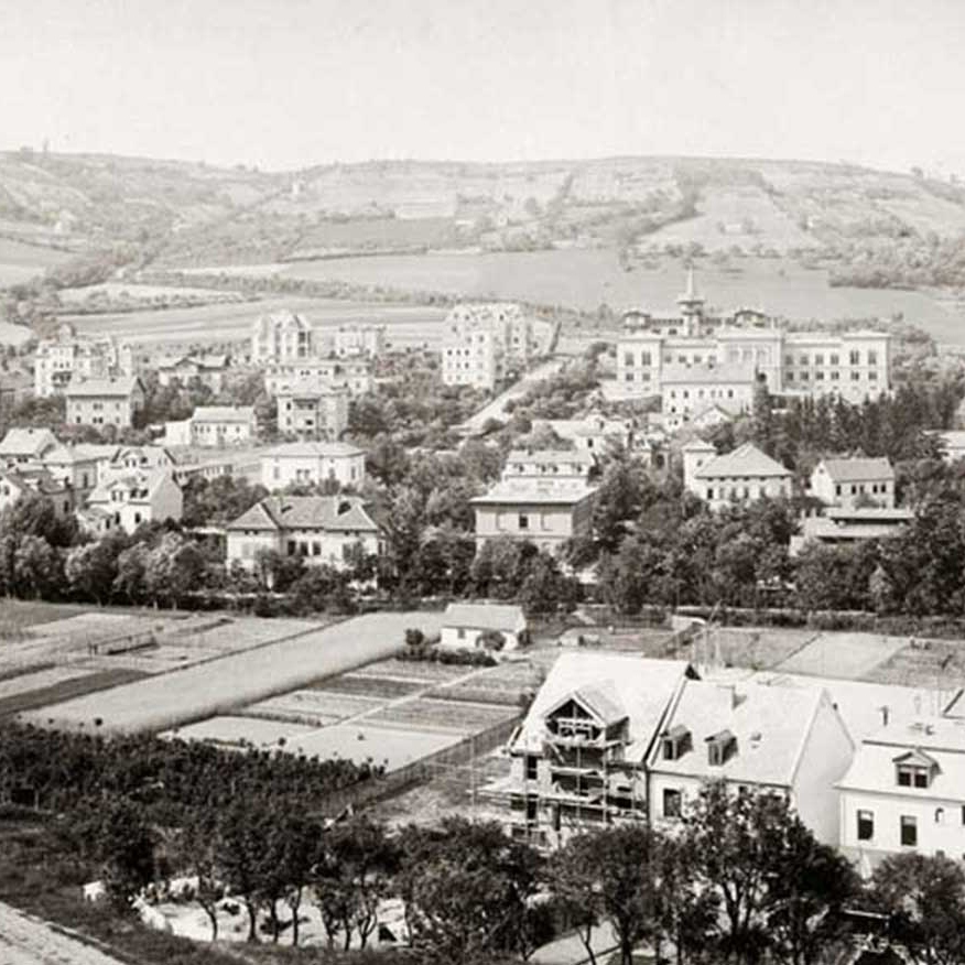 View of Jena to the north (Landgrafen), 1891