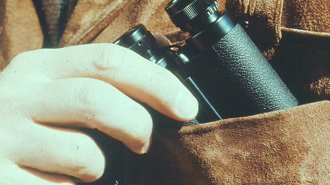 ZEISS pocket binoculars (8x20)