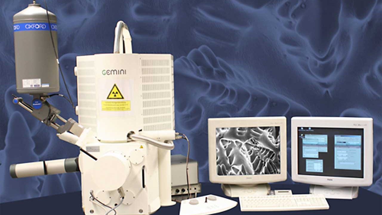 DSM 982 GEMINI field emission scanning electron microscope