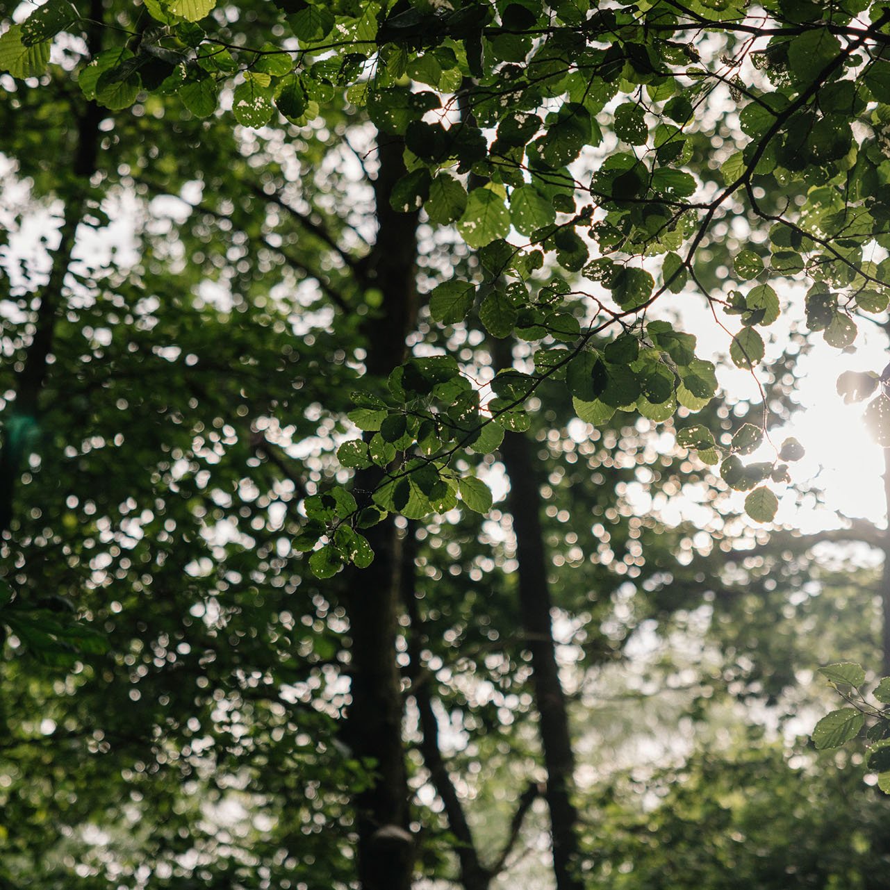 Dominik Eulberg is a DJ, biologist and bird-watcher