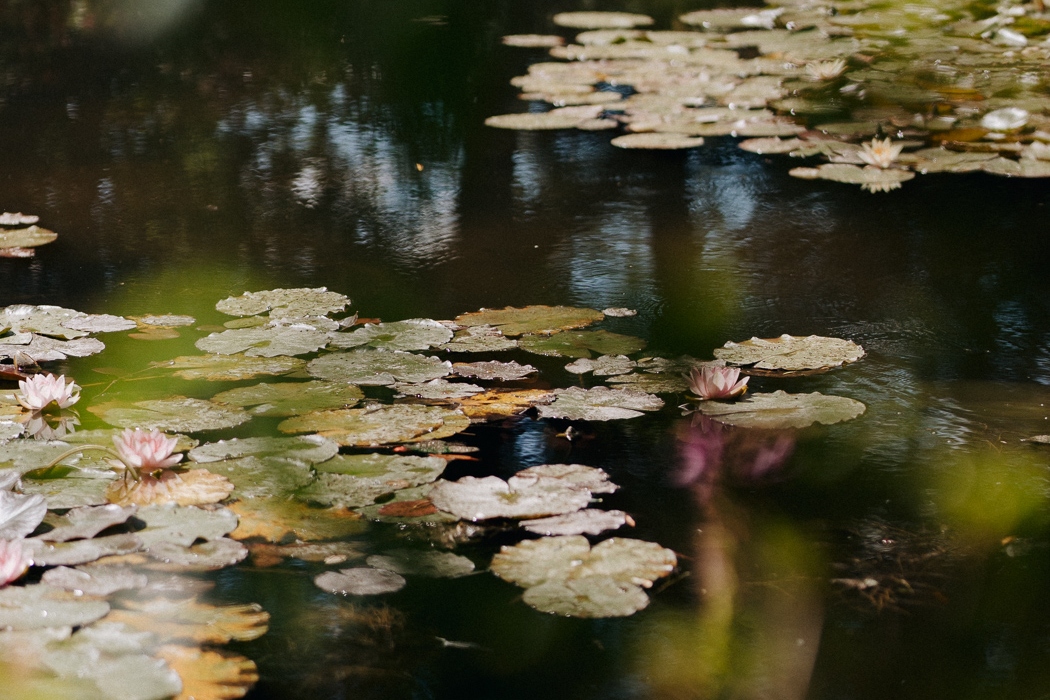 Claude Monet garden water lily pond