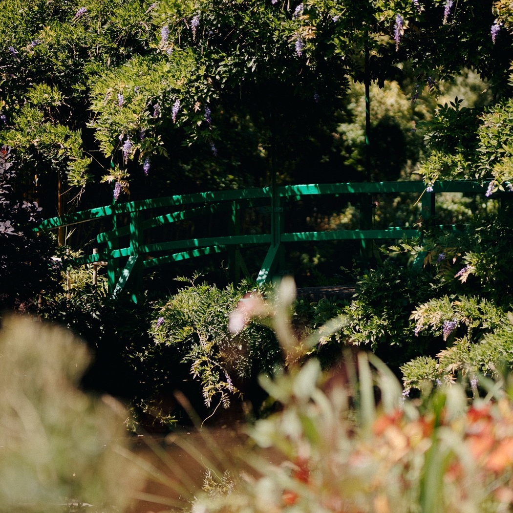 Claude Monet garden with bridge