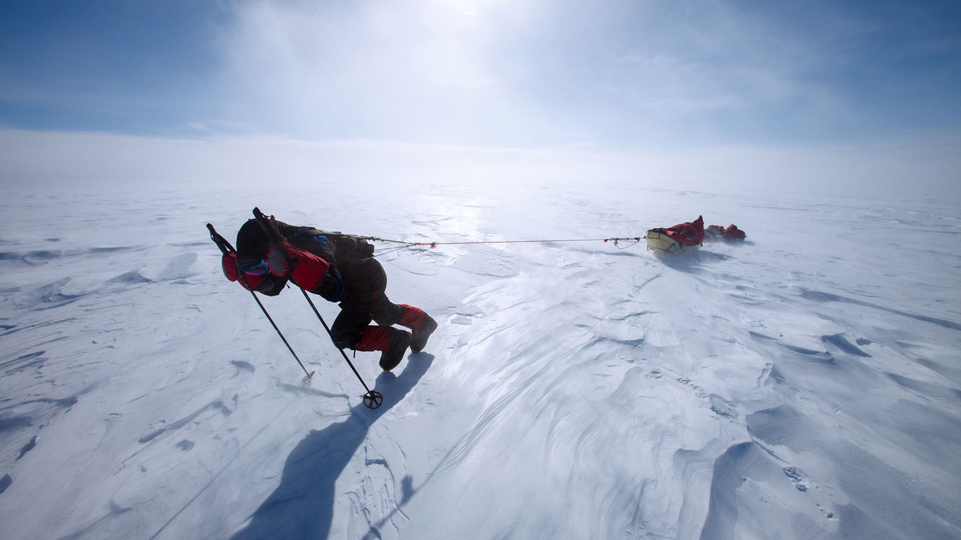 Sebastian Copeland,  award-winning photographer, adventurer and environmental advocate.