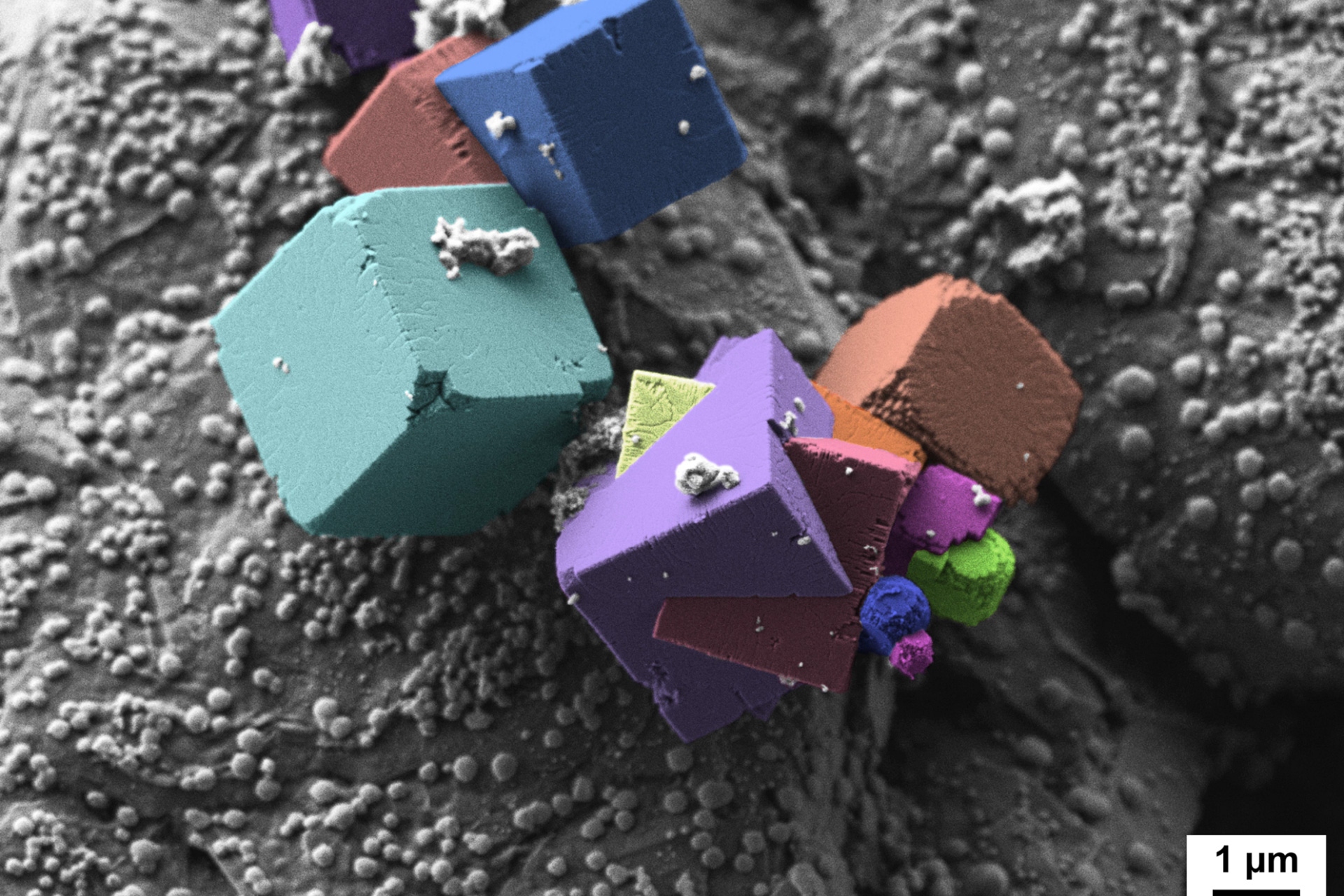2nd place: Fluorides on an anode surface of a Li-ion battery, acquired with a ZEISS Crossbeam 550 focused ion beam scanning electron microscope