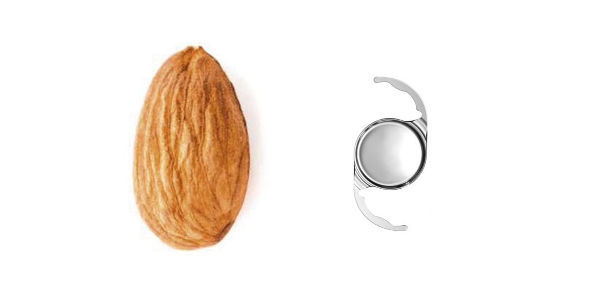 Size of intraocular lenses (IOLs) in comparison to an almond.