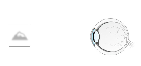Distance Eyeglasses and Reading Eyeglasses